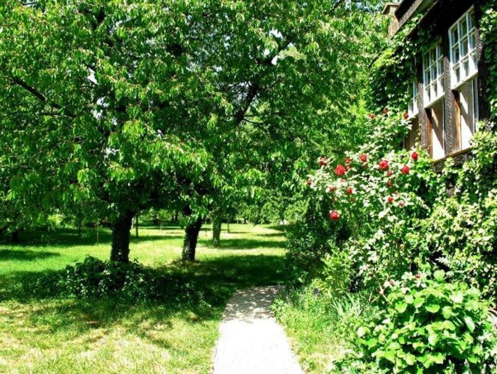 Boersch Chambres D'Hotes Le Clos Saint Leonard المظهر الخارجي الصورة